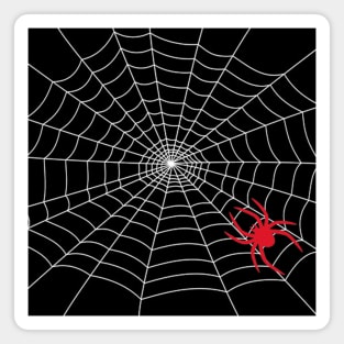 Spider Web Magnet